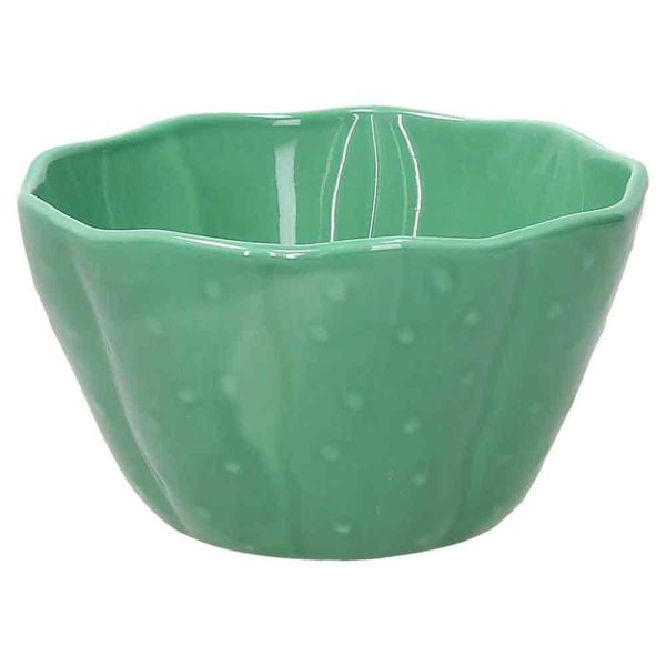 Bol Cactus Verde Închis Pachy, 15x9 cm